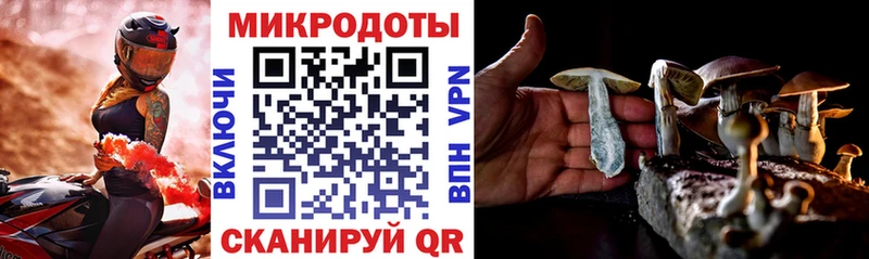 KRAKEN зеркало  купить наркотики сайты  Мглин  darknet формула  Галлюциногенные грибы Psilocybine cubensis 
